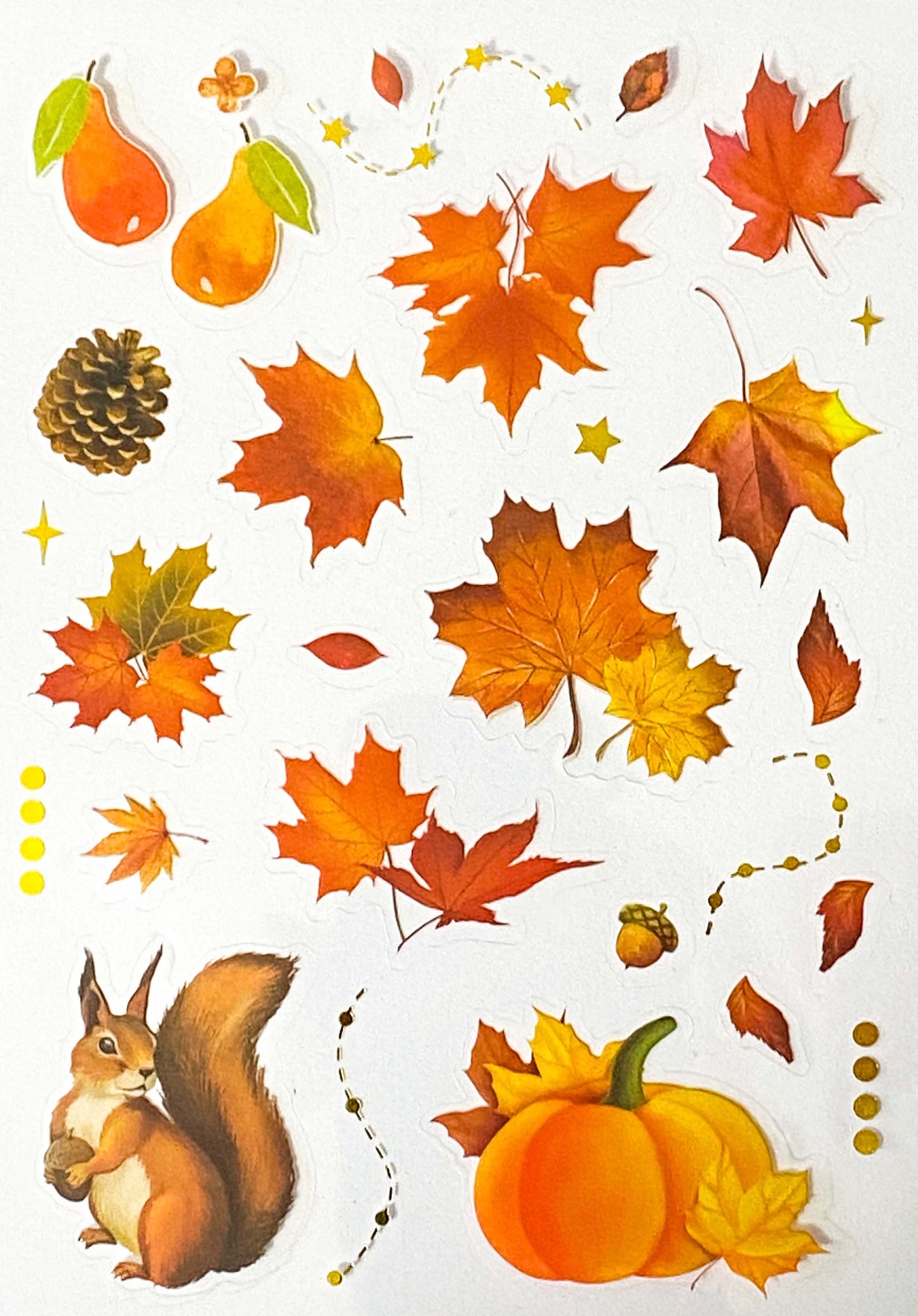 Just 60p! AUTUMN WOODLAND Clear Plastic Sticker Sheet/s 8 or Pack Leaf Leaves