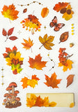 AUTUMN WOODLAND Clear Plastic Sticker Sheet/s 8 or Pack Leaf Leaves