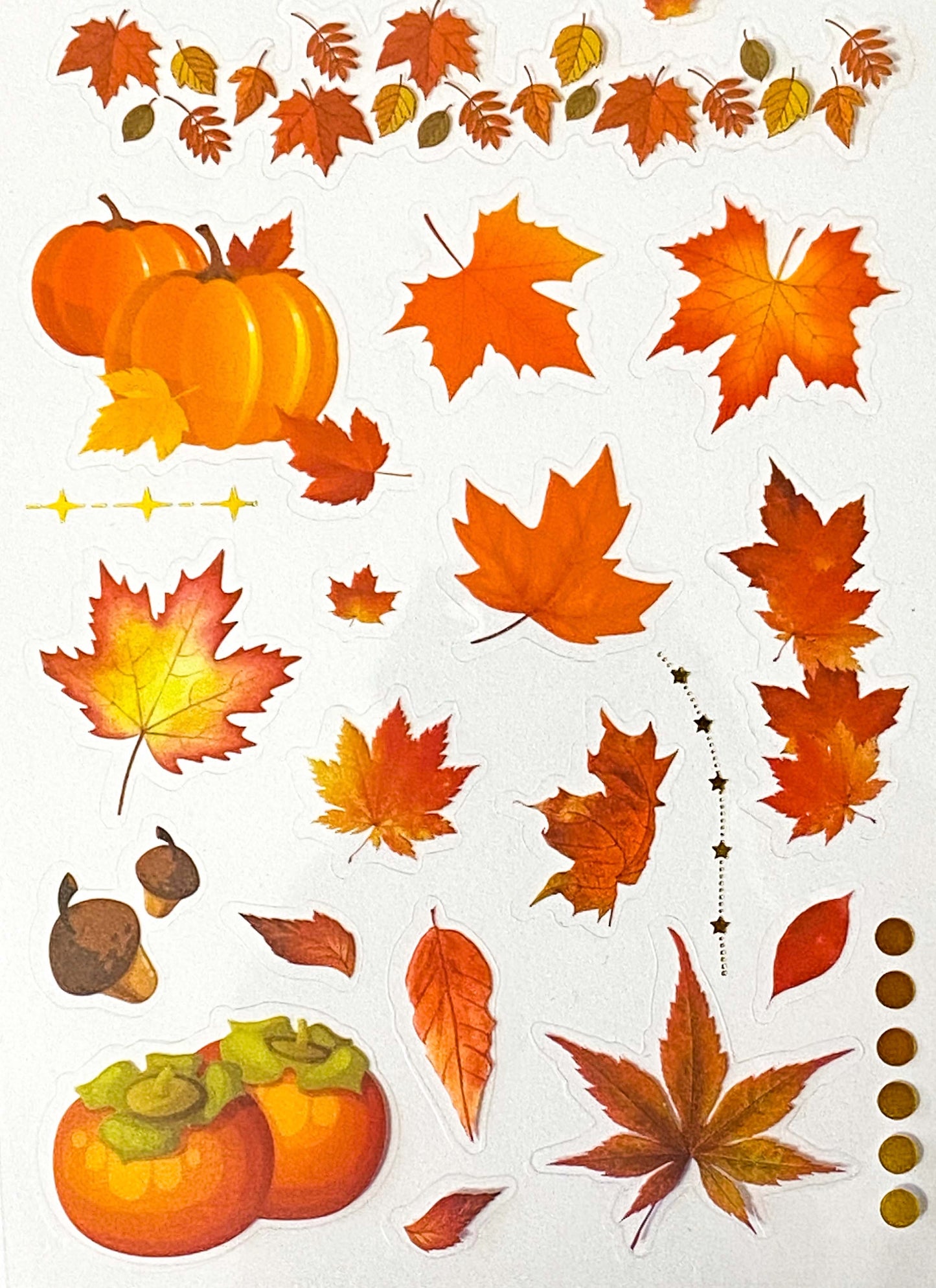 Just 60p! AUTUMN WOODLAND Clear Plastic Sticker Sheet/s 8 or Pack Leaf Leaves