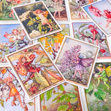 large rectangular flower fairies trees satin stickers pack featuring cherry blossom fairy, elder fairy, pear blossom and lilac