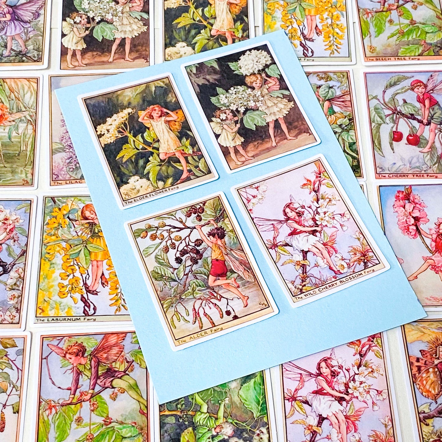 large rectangular flower fairies trees satin stickers pack featuring cherry blossom fairy, elder fairy, pear blossom and lilac