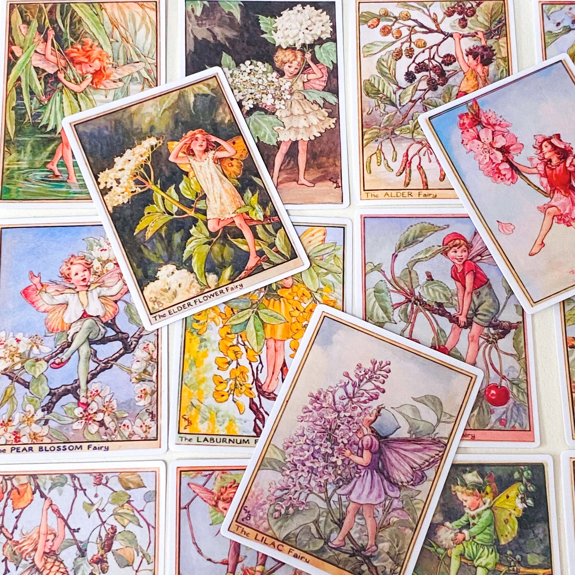 large rectangular flower fairies trees satin stickers pack featuring cherry blossom fairy, elder fairy, pear blossom and lilac