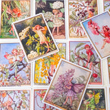 large rectangular flower fairies trees satin stickers pack featuring cherry blossom fairy, elder fairy, pear blossom and lilac