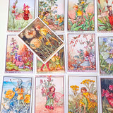 flower fairy set of 16 rectangular satin finish stickers of wild flower fairies including bindweed, rose bay willow herb, tansy and bee orchid