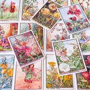 flower fairy set of 16 rectangular satin finish stickers of wild flower fairies including bindweed, rose bay willow herb, tansy and bee orchid
