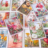 flower fairy set of 16 rectangular satin finish stickers of wild flower fairies including bindweed, rose bay willow herb, tansy and bee orchid