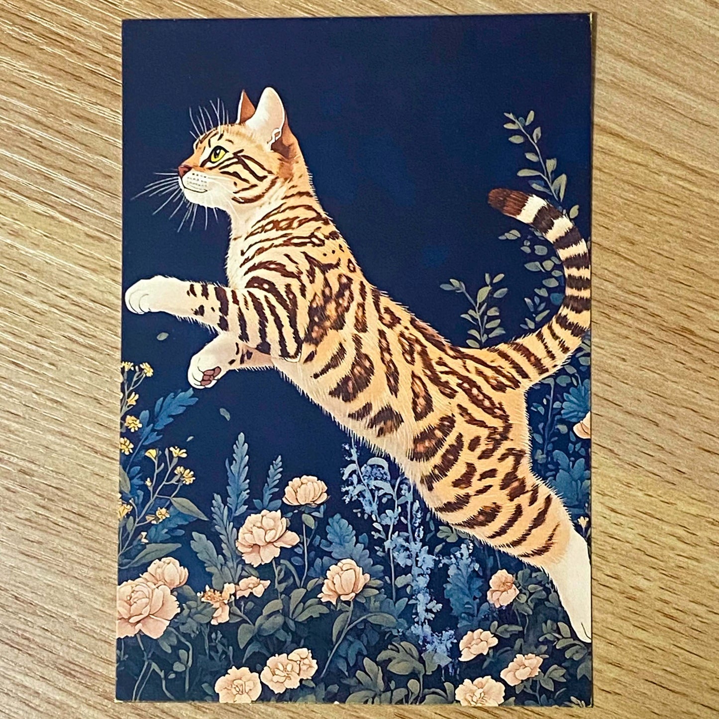 opulent cat cats postcard postcards post card cards blank uk cute kawaii colourful kitten kitty floral flowers flower individual blue peach cream orange black 