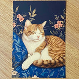 opulent cat cats postcard postcards post card cards blank uk cute kawaii colourful kitten kitty floral flowers flower individual blue peach cream orange black 