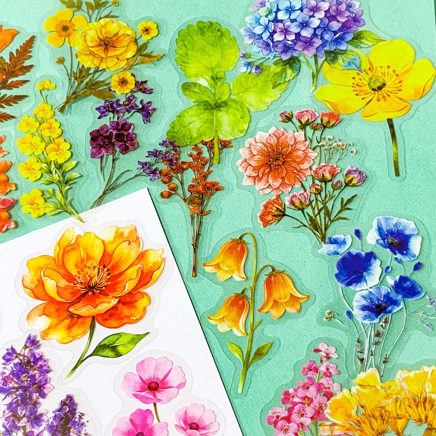 pack of 50 large PET transparent stickers of botanical flowers featuring garden plants in a range of bright colours with daisy, pansy, foxglove, hydrangea, poppy, lupin. uk stationery shop.