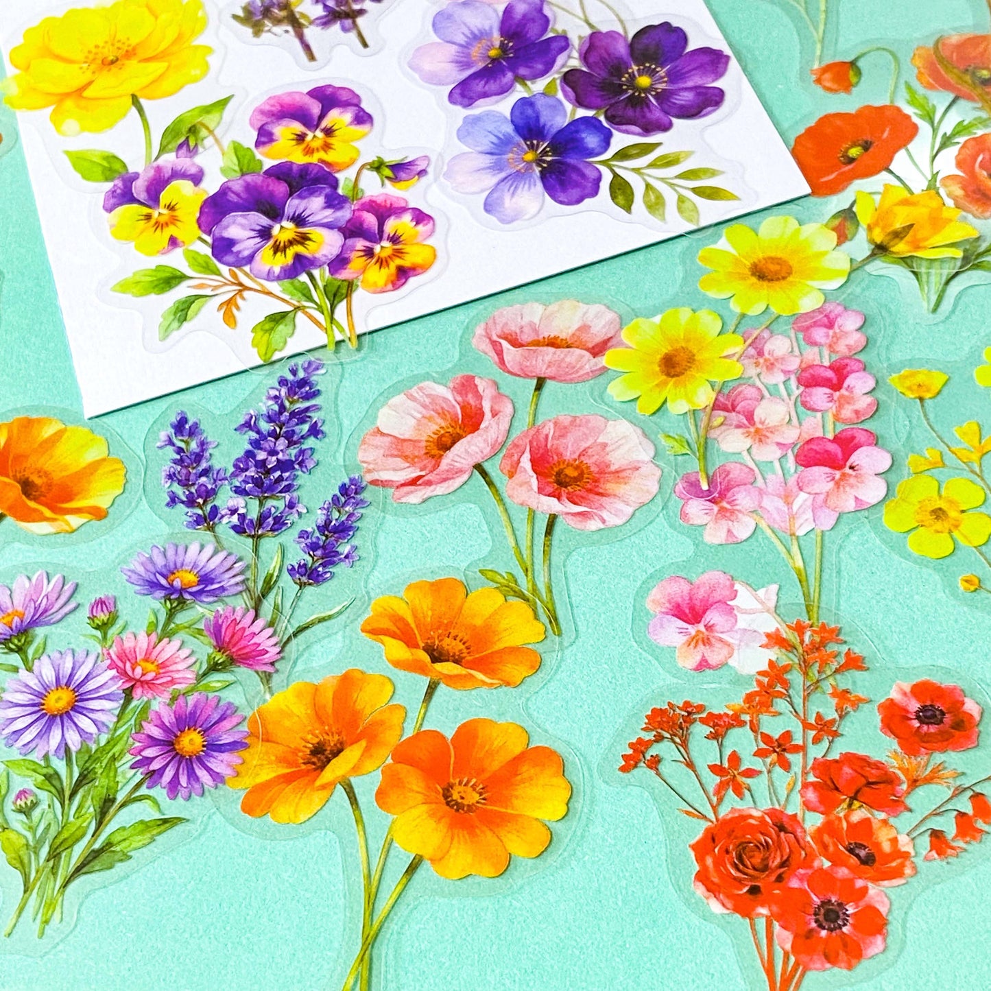 pack of 50 large PET transparent stickers of botanical flowers featuring garden plants in a range of bright colours with daisy, pansy, aster, anemone, foxglove, poppy, lupin. uk stationery shop.
