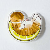 SWEET CAT- Food Themed ACRYLIC PIN BROOCH
