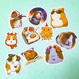 WEBSITE FREE GIFTS! Limited time: Choose 4 with your order!