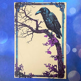 spooky witchcraft witch witches magic magical bold colours vintage sepia postcard postcards post card cards uk cute kawaii halloween stationery individual planner supplies addict purple magenta pink teal blue green black brown bright art artwork cat black cats broomstick haunted house occult spider's web webs cobweb potion potions hat hats book crow raven crows bird birds vintage style illustration