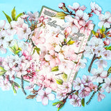 large pink clear plastic stickers pack on a blue background