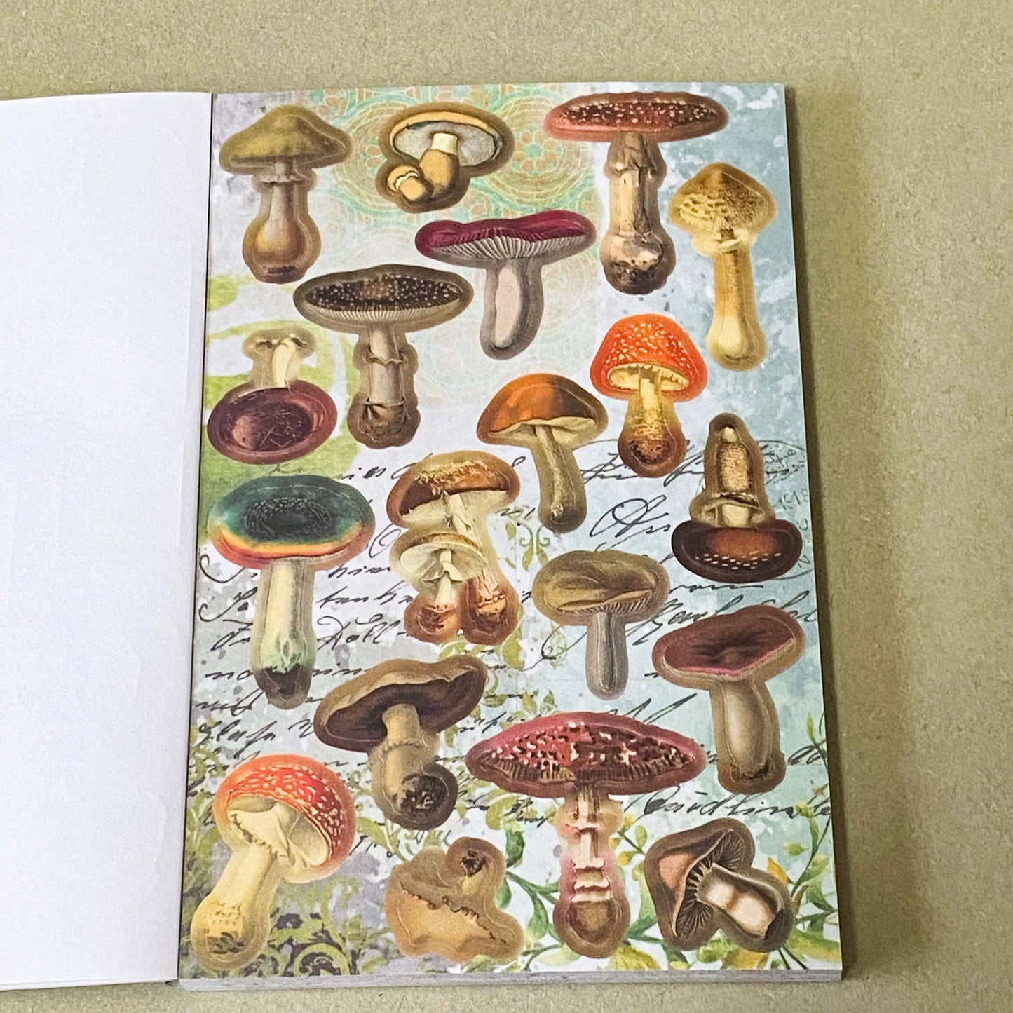 vintage old carnival tour sticker book featuring botanical roses, mushrooms, woodland animals, antique ephemera, correspondence stickers, fruit labels, Parisian motifs and cottage garden illustrations. Book of 30 pages of matte paper stickers.