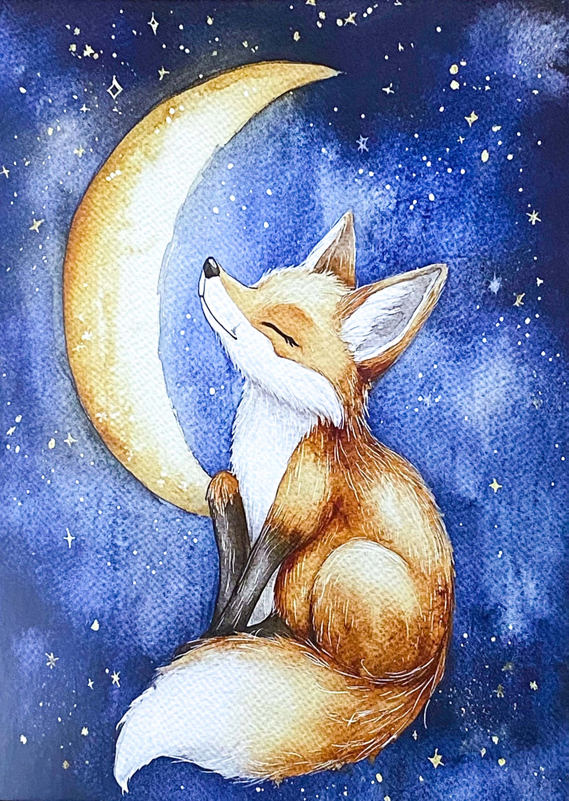 winter snow snowy animal animals polar bear bears fox bunny rabbit deer reindeer rudolph dolphin seal postcard postcards post card cards uk cute kawaii blue sun moon moonlight