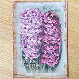 seed seeds catalogue vintage retro victorian old nostalgic flower flowers floral postcard postcards card cards greetings birthday happy uk cute kawaii pretty pink purple individual stationery shop store envelopes stickers seal seals tulip tulips hyacinth hyacinths rose roses