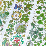 green gold yellow flower flowers plants plant sticker stickers sheet holo holographic foil foiled clear plastic pet uk cute kawaii stationery shop store butterflies butterfly jar jars ivy clover four leaf leaves 