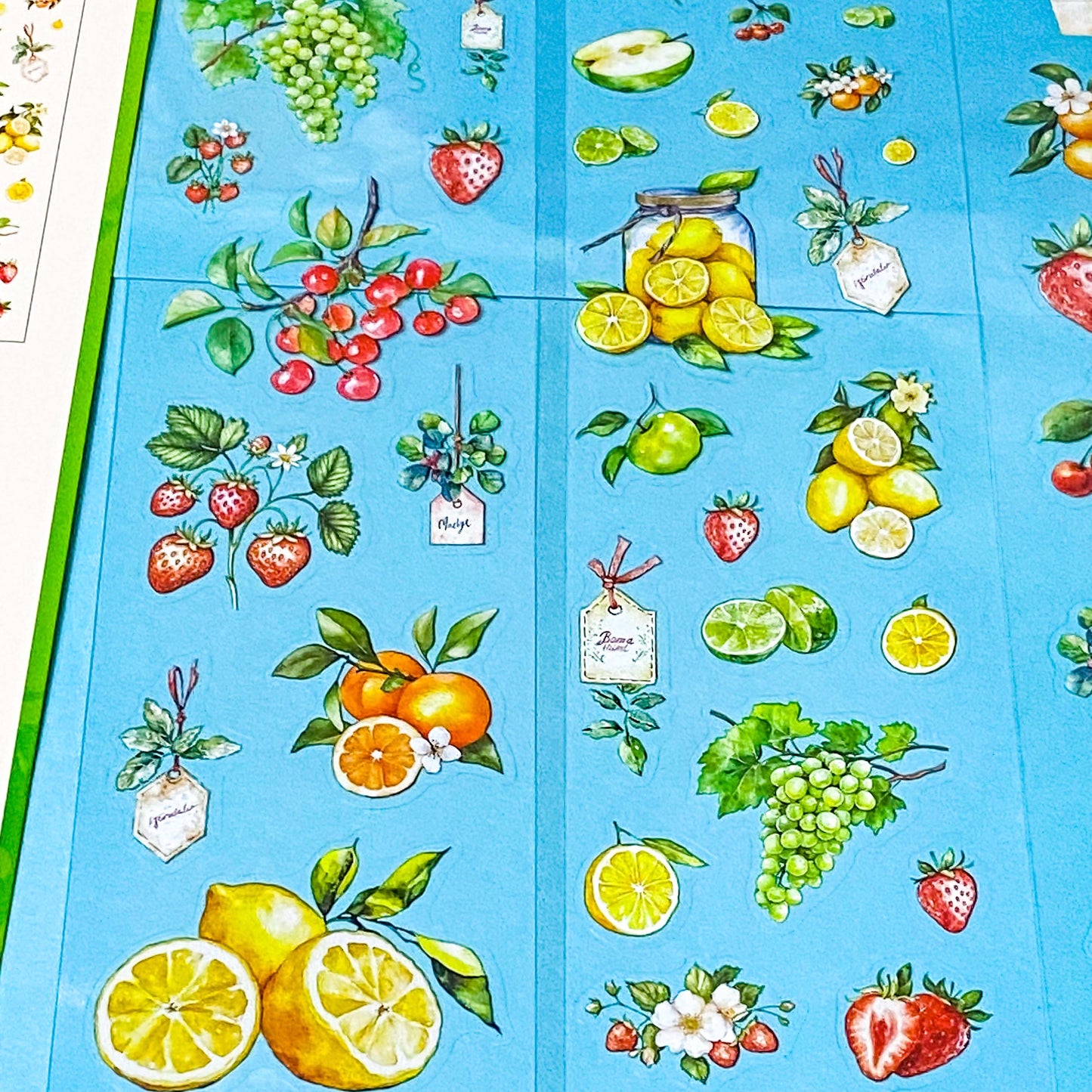 Botanical FRUIT Clear Sticker Sheets- 6 Sheet Set | Strawberry, Lemon, Apple, Cherry