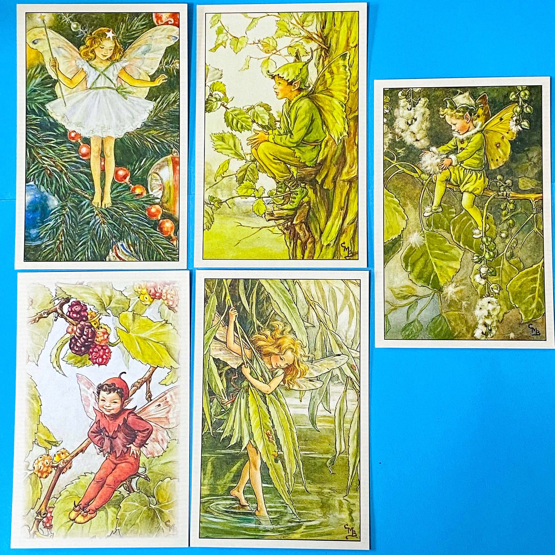 gift set of 5 cecily may barker flower fairy postcards with tree designs including elm, poplar, willow, Christmas tree and Mulberry. Packed n kraft belly band and wax seal sticker. Uk letterbox gifts in vintage retro style.
