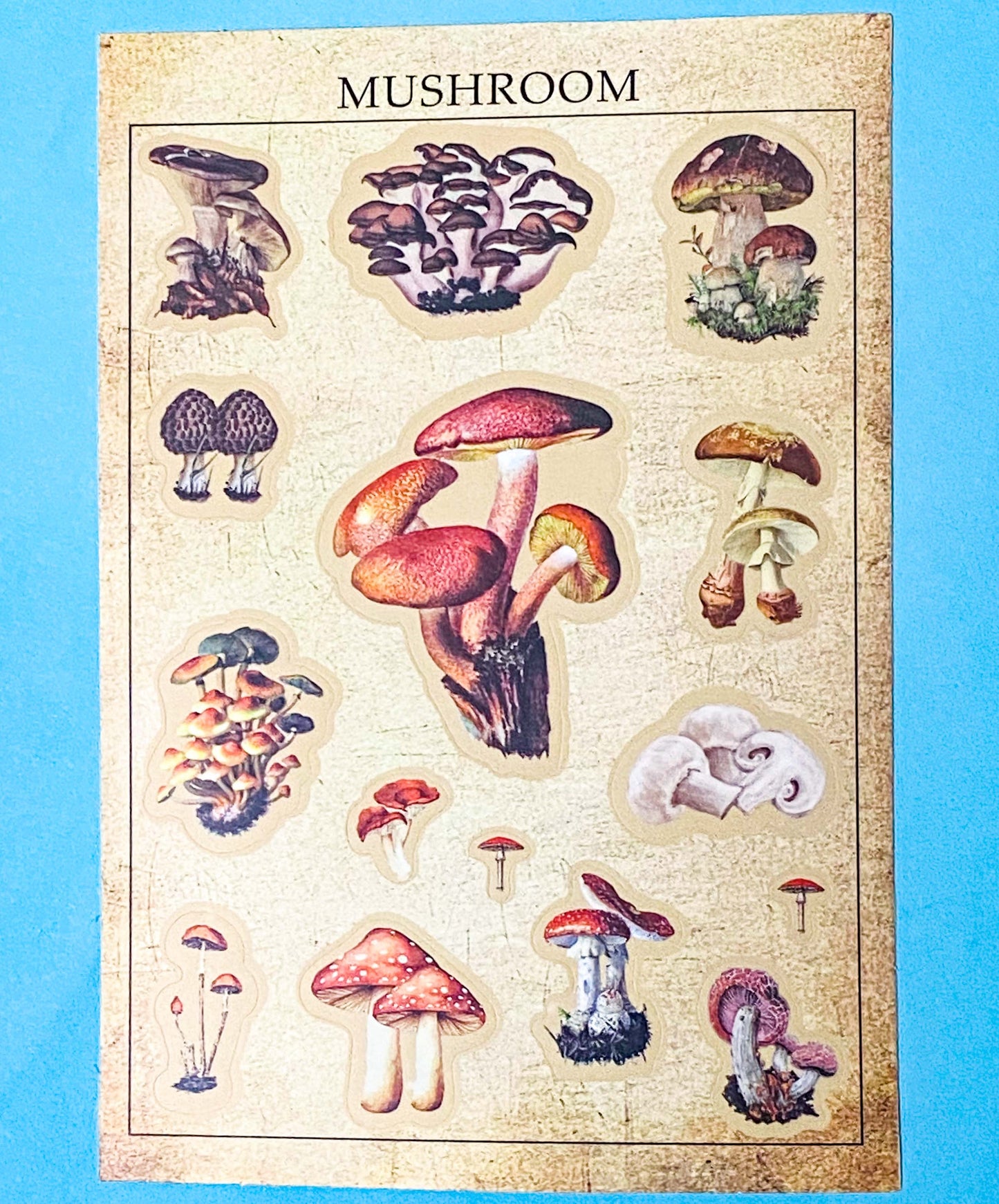 vintage botanical plants  butterflies and mushroom matte sticker sheets on a blue background