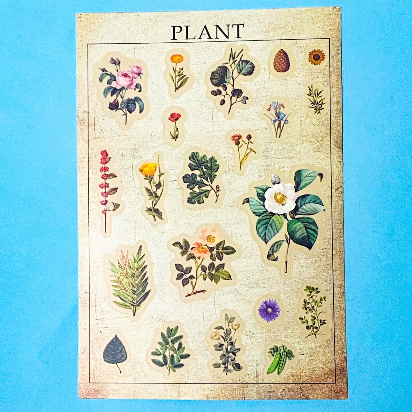 vintage botanical plants  butterflies and mushroom matte sticker sheets on a blue background