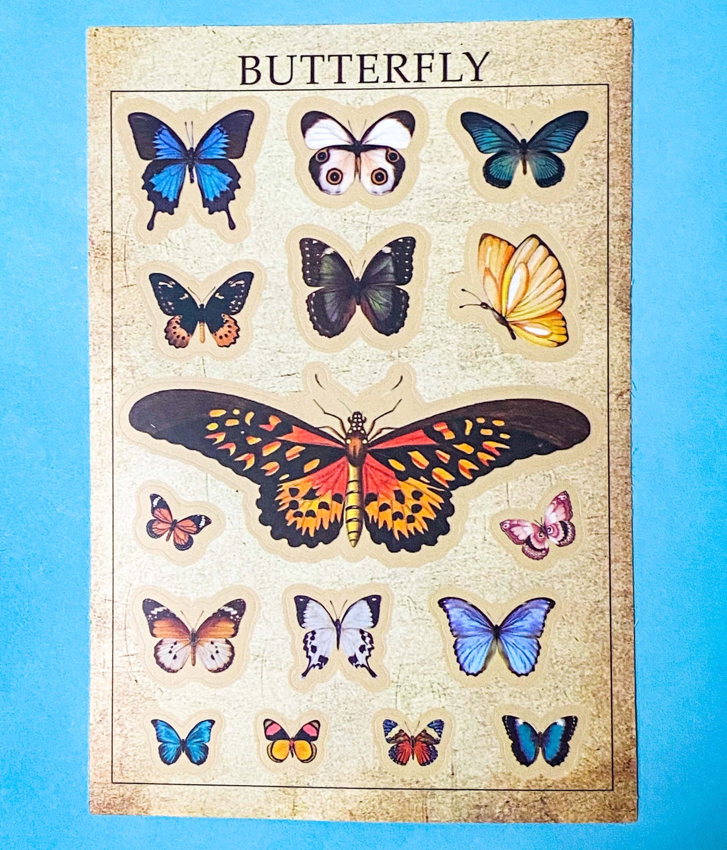 vintage botanical plants  butterflies and mushroom matte sticker sheets on a blue background