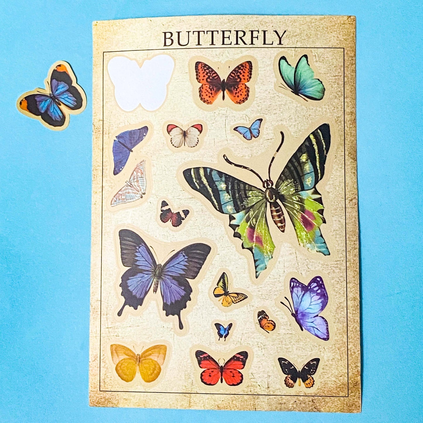 vintage botanical plants  butterflies and mushroom matte sticker sheets on a blue background