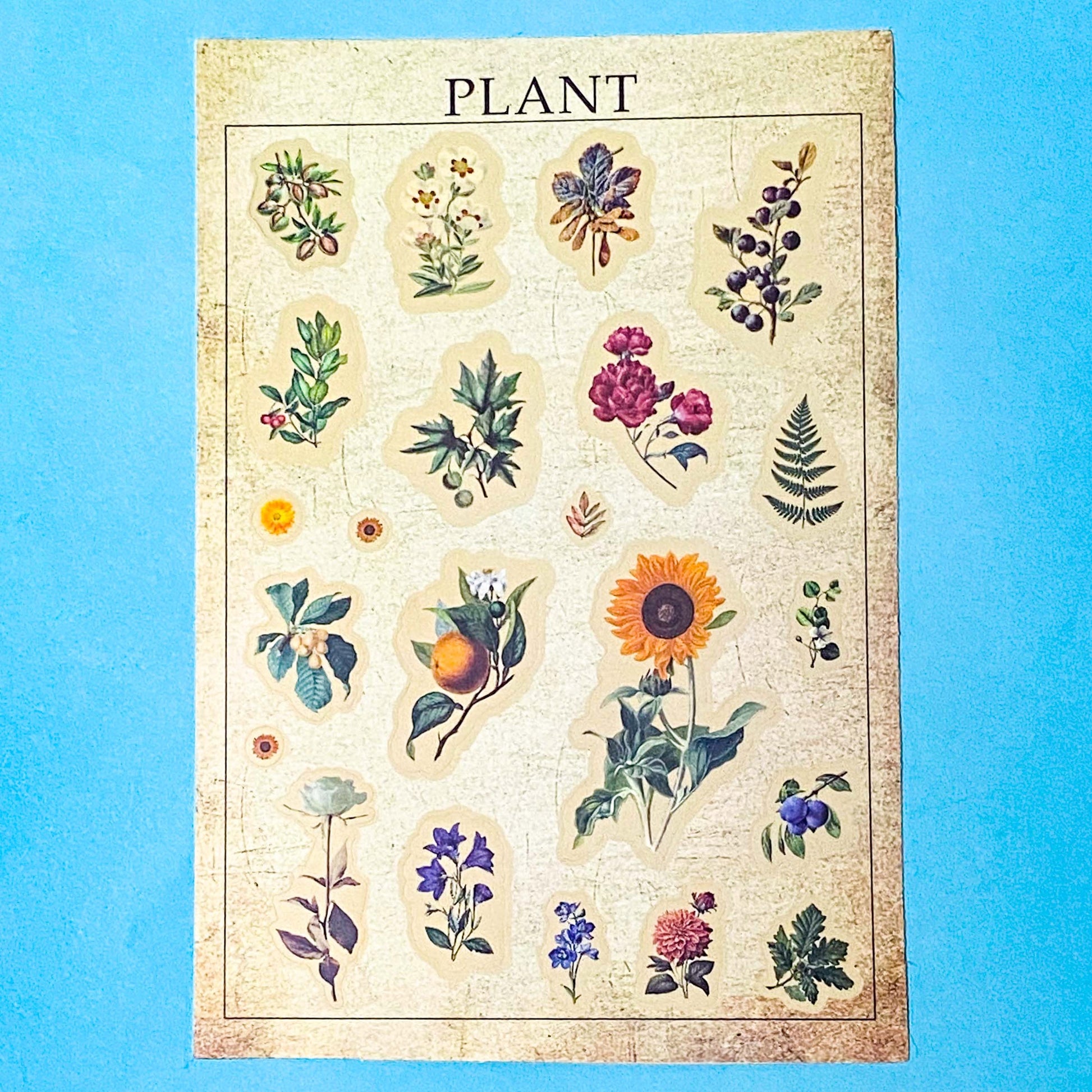 vintage botanical plants  butterflies and mushroom matte sticker sheets on a blue background