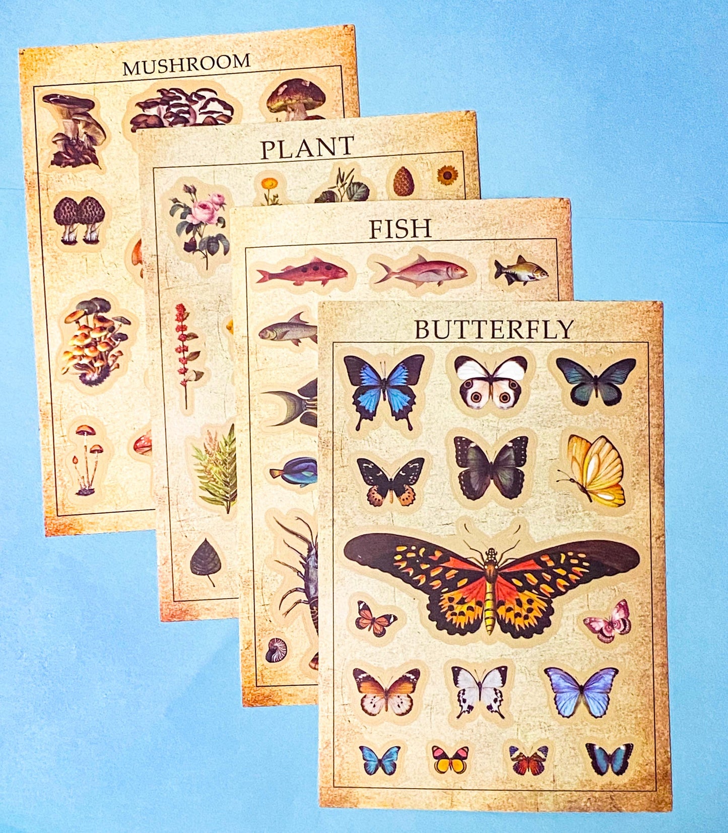 vintage botanical plants  butterflies and mushroom matte sticker sheets on a blue background