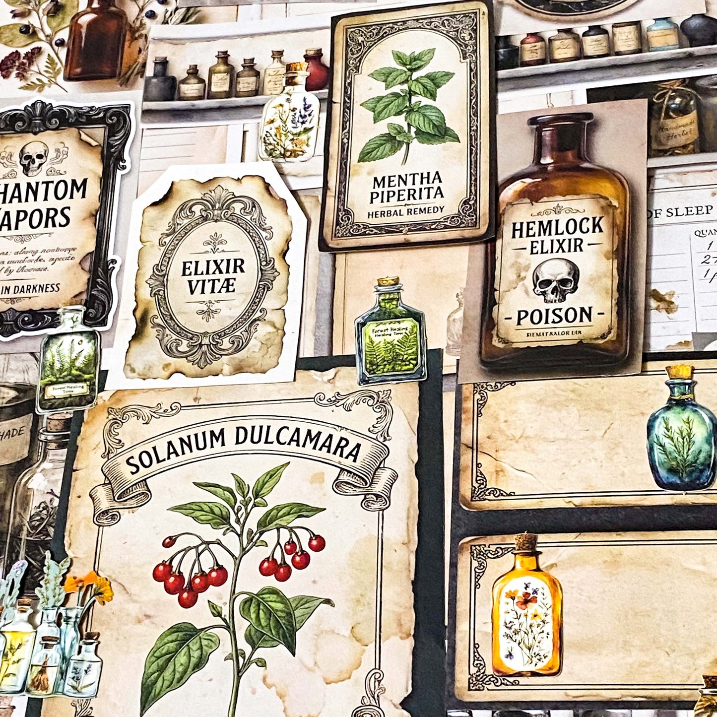 botanical and poison labels ephemera pack with vintage apothecary paper pieces flat lay showing 25 piece set for journaling and scrapbooking