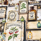 botanical and poison labels ephemera pack with vintage apothecary paper pieces flat lay showing 25 piece set for journaling and scrapbooking