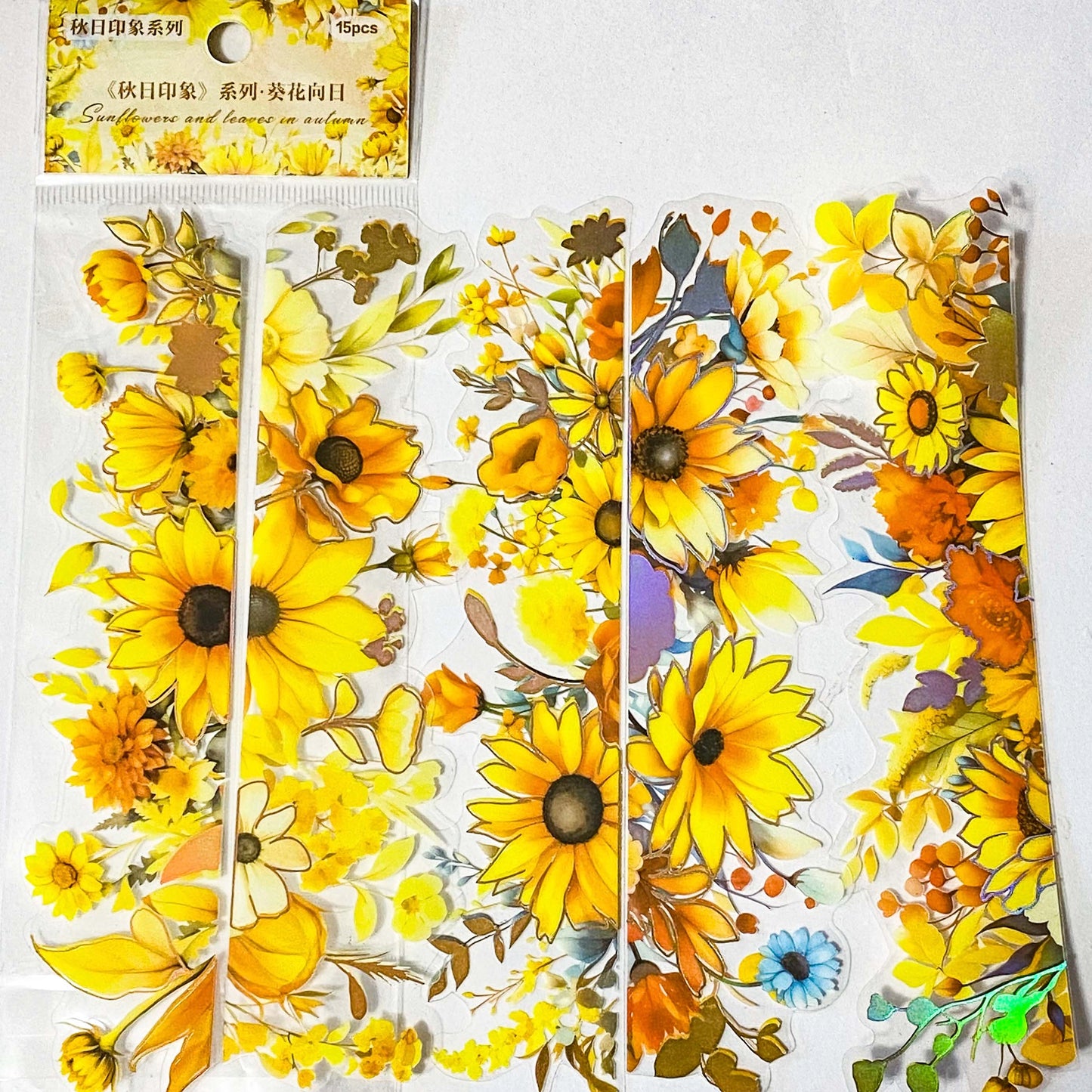 BEAUTIFUL BORDERS Holo Foil Clear Plastic Stickers Pack of 15