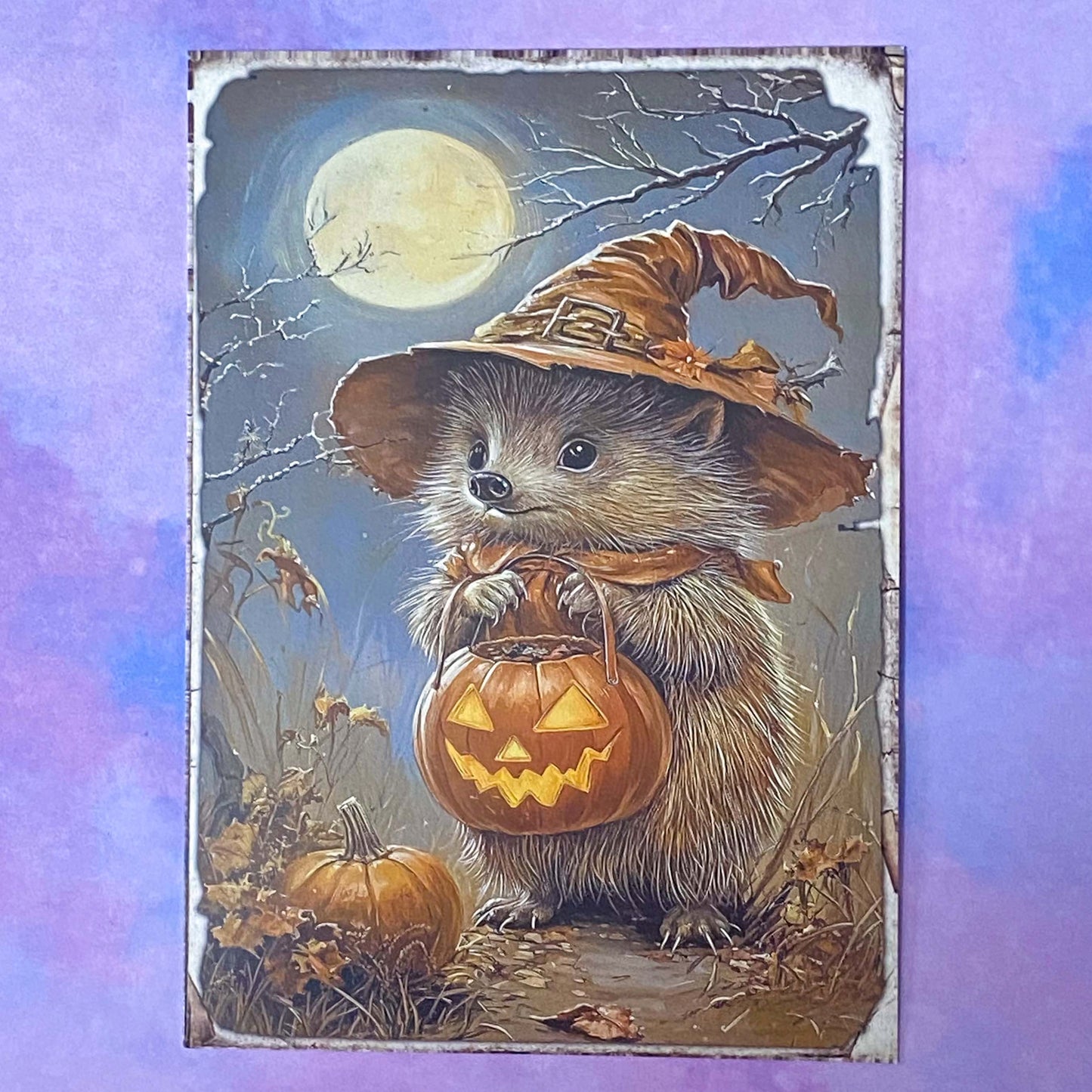 pumpkin pumpkins retro vintage halloween spooky animal animals woodland cute kawaii creatures postcard postcards post card cards sticker stickers hedgehog squirrel cat kitten dog puppy rabbit stoat weasel mouse mice owl bird uk stationery supplies planner addict gift gifts shop store deer
