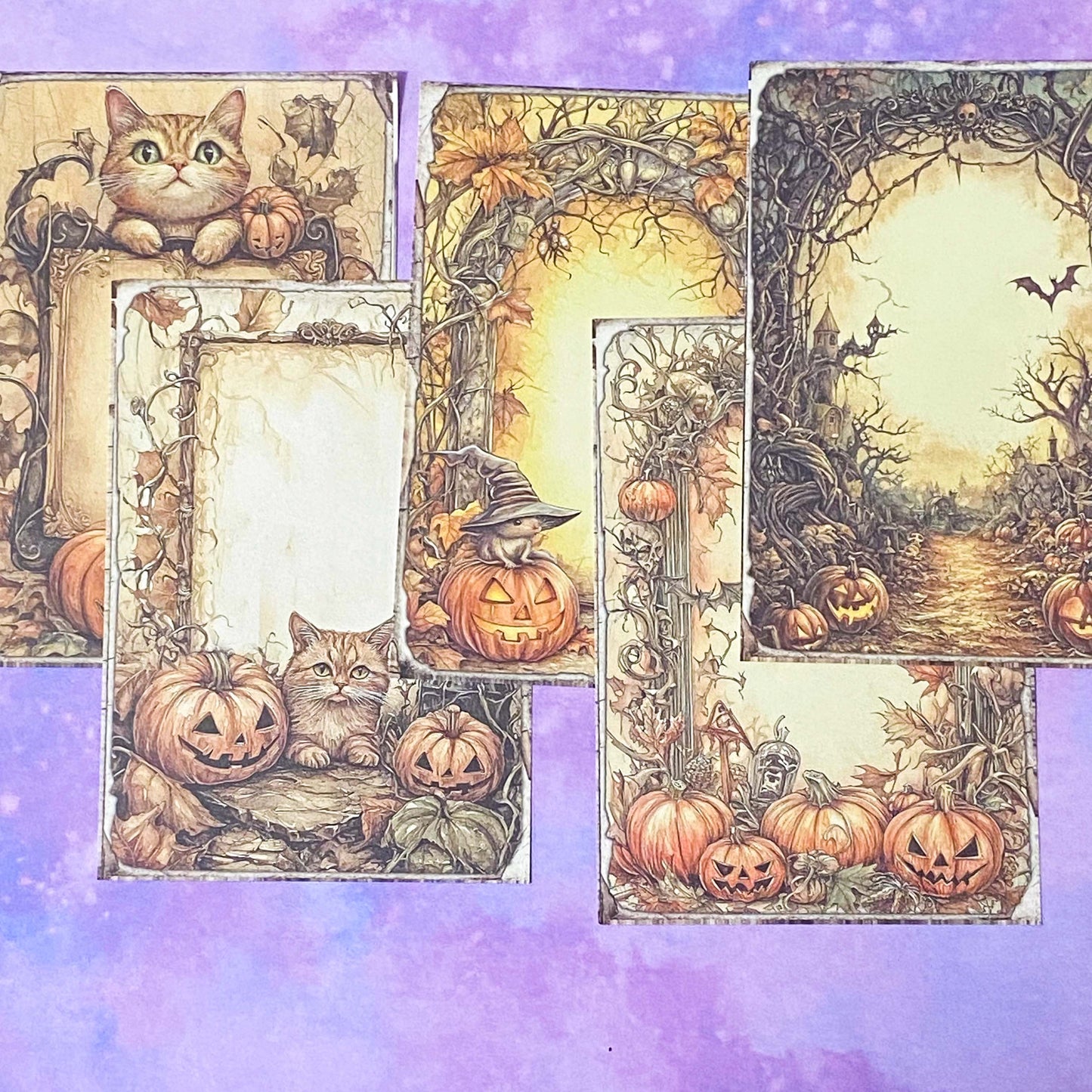 pumpkin pumpkins retro vintage halloween spooky animal animals woodland cute kawaii creatures postcard postcards post card cards sticker stickers hedgehog squirrel cat kitten dog puppy rabbit stoat weasel mouse mice owl bird uk stationery supplies planner addict gift gifts shop store deer scrapbooking paper