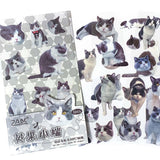 grey and white tabby cat cats kitten kittens clear plastic stickers stickers sheet pack 6 uk cute kawaii fun colourful stationery shop store supplies planner addict gift gifts 