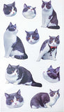 grey and white tabby cat cats kitten kittens clear plastic stickers stickers sheet pack 6 uk cute kawaii fun colourful stationery shop store supplies planner addict gift gifts 