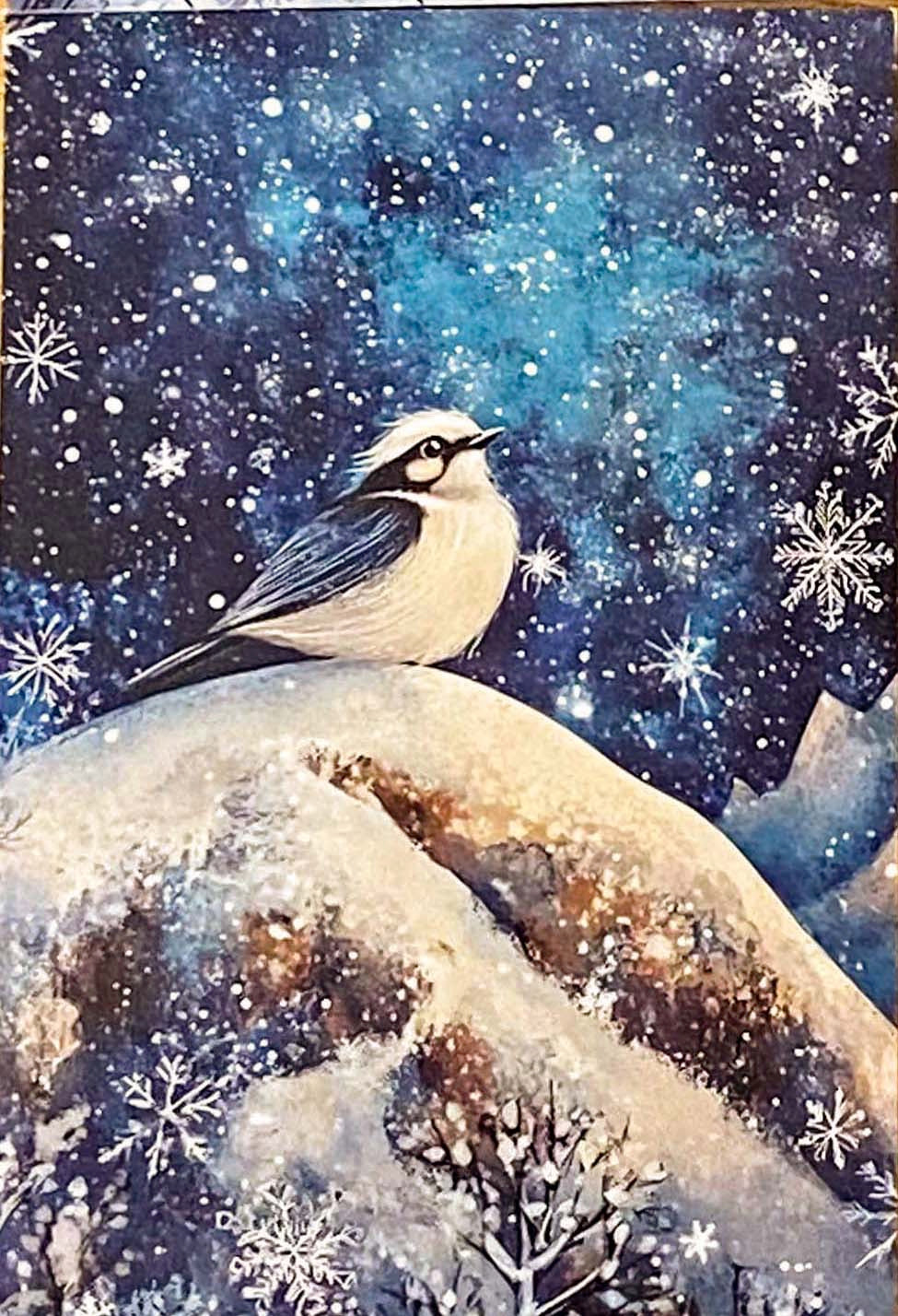christmas snow snowy postcard postcards post card cards uk cute kawaii festive stationery turquoise  blue midnight sky stars teddy bear snowglobe snow globe polar angel snowman present stocking pretty deep bird woodland tree aqua