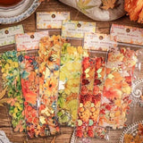 BEAUTIFUL BORDERS Holo Foil Clear Plastic Stickers Pack of 15