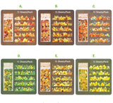 BEAUTIFUL BORDERS Holo Foil Clear Plastic Stickers Pack of 15