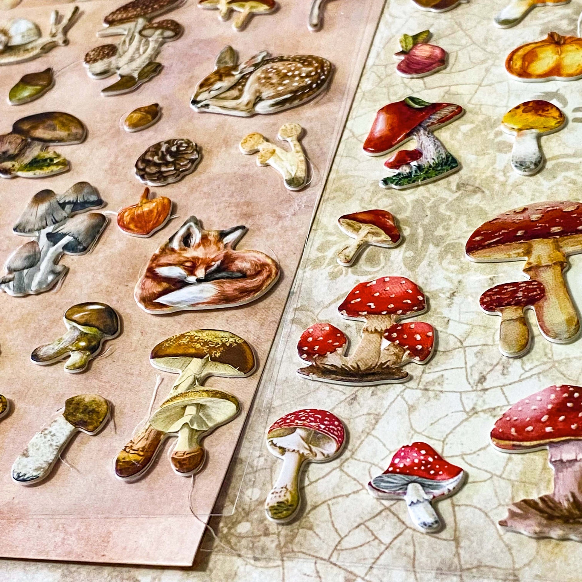 nature themed card sticker set of 2 clear sheets of raised cardboard plants and animals stickers. Designs include mushrooms, woodland animals, leaves and trees. Uk stationery shop.
