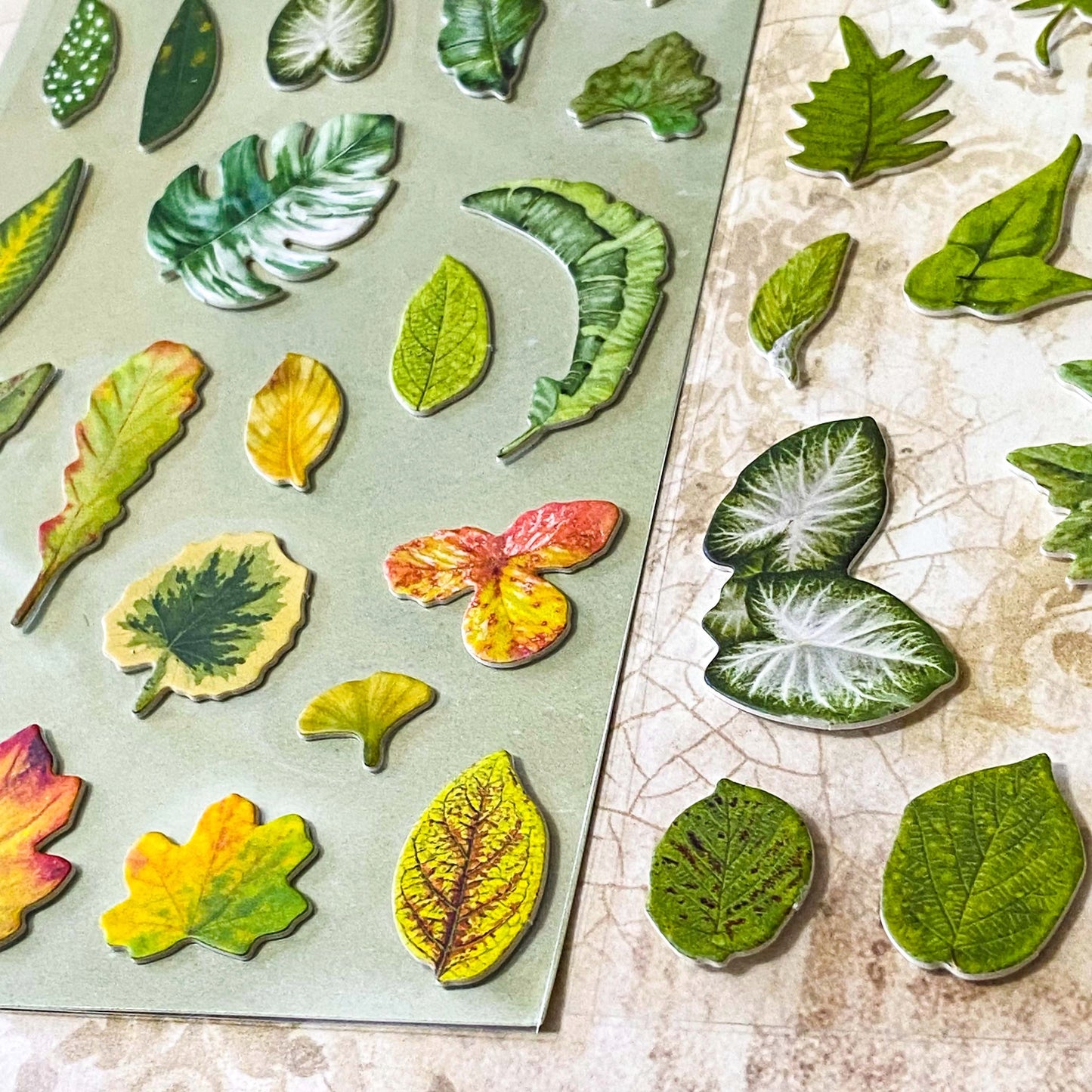 nature themed card sticker set of 2 clear sheets of raised cardboard plants and animals stickers. Designs include mushrooms, woodland animals, leaves and trees. Uk stationery shop.