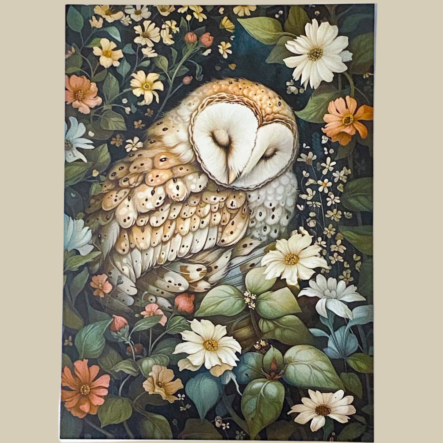 floral flower animal animals cute kawaii postcard postcards cards dark rich opulent illustrations art uk stationery supplies planner addict shop store cat kitten badger mouse rat hedgehog frog fox owl bird woodpecker rabbit bunny bear beautiful individual deep colours ornate snail