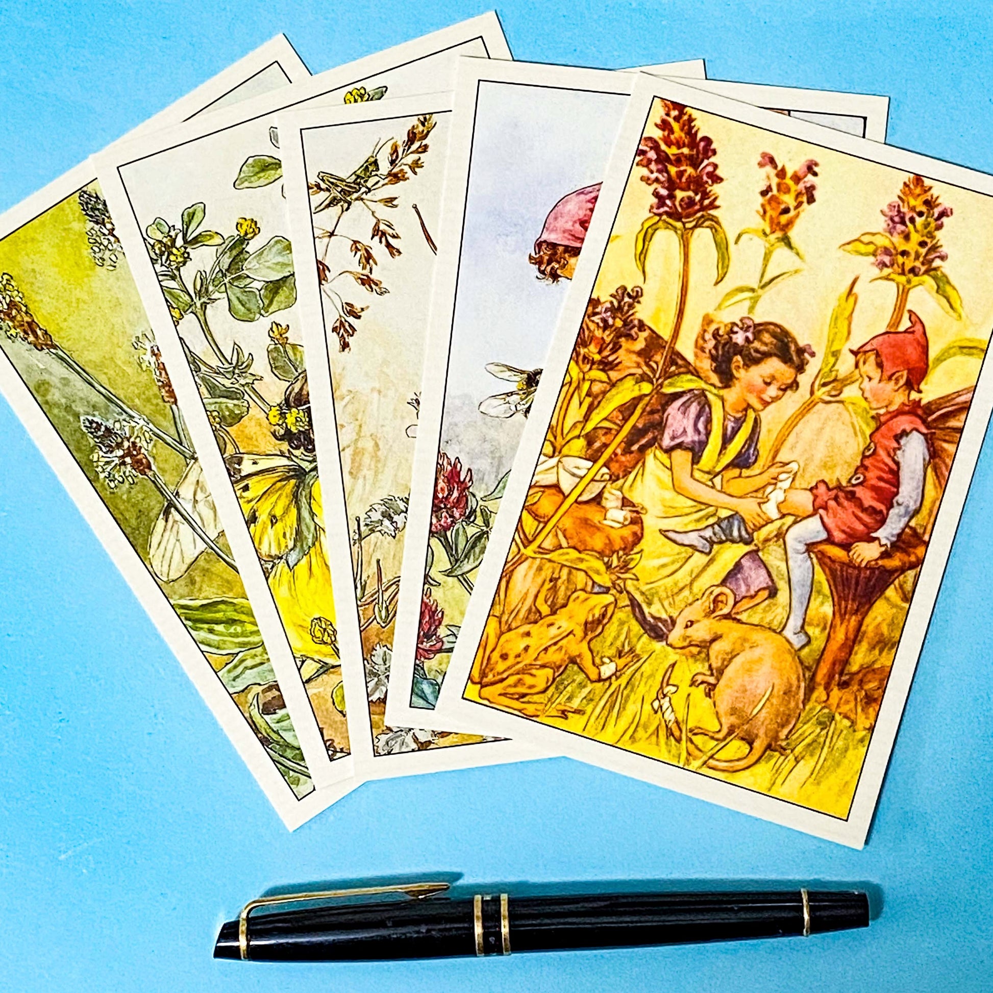 set of 5 vintage flower fairy postcards featuring red clover, ribwort plantain, self heal, black medic, crane's bill on a blue background