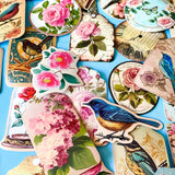 Vintage Botanical Bird & Rose Sticker Pack- 52/26 Cottagecore Laptop & Scrapbook Stickers