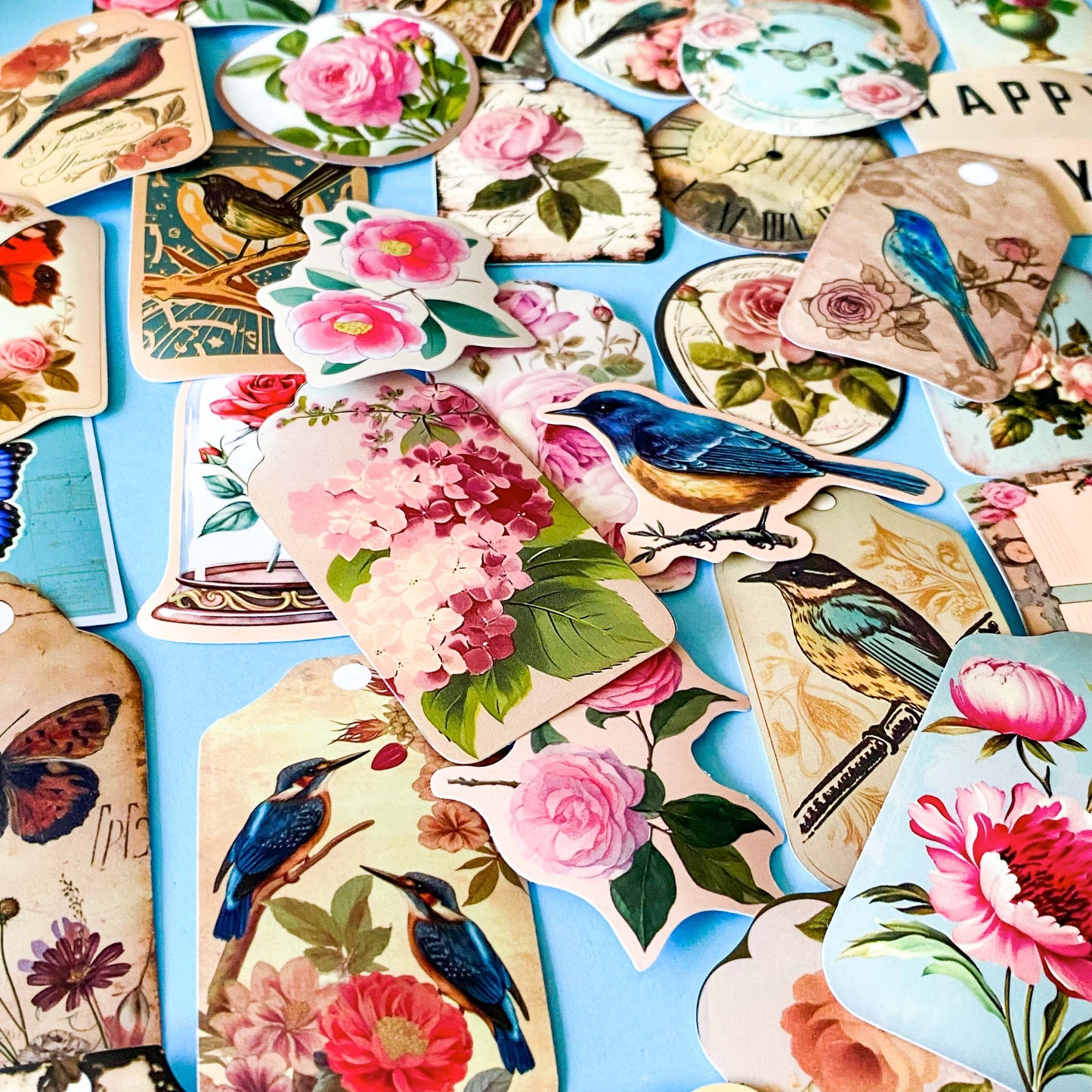 Vintage Botanical Bird & Rose Sticker Pack- 52/26 Cottagecore Laptop & Scrapbook Stickers