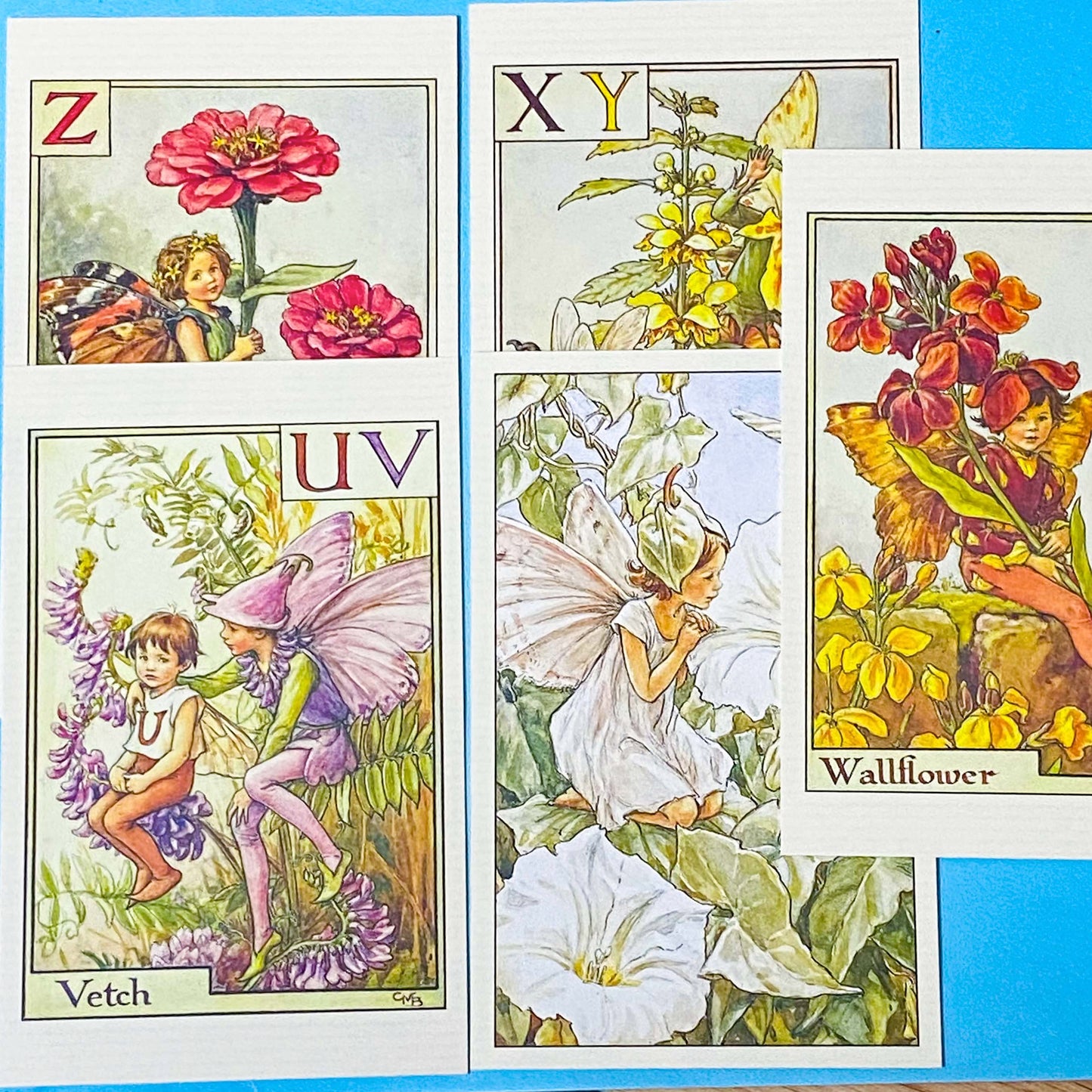 flower fairy illustrations postcards set of 5 featuring letters of the alphabet u, v, w, x, y and z