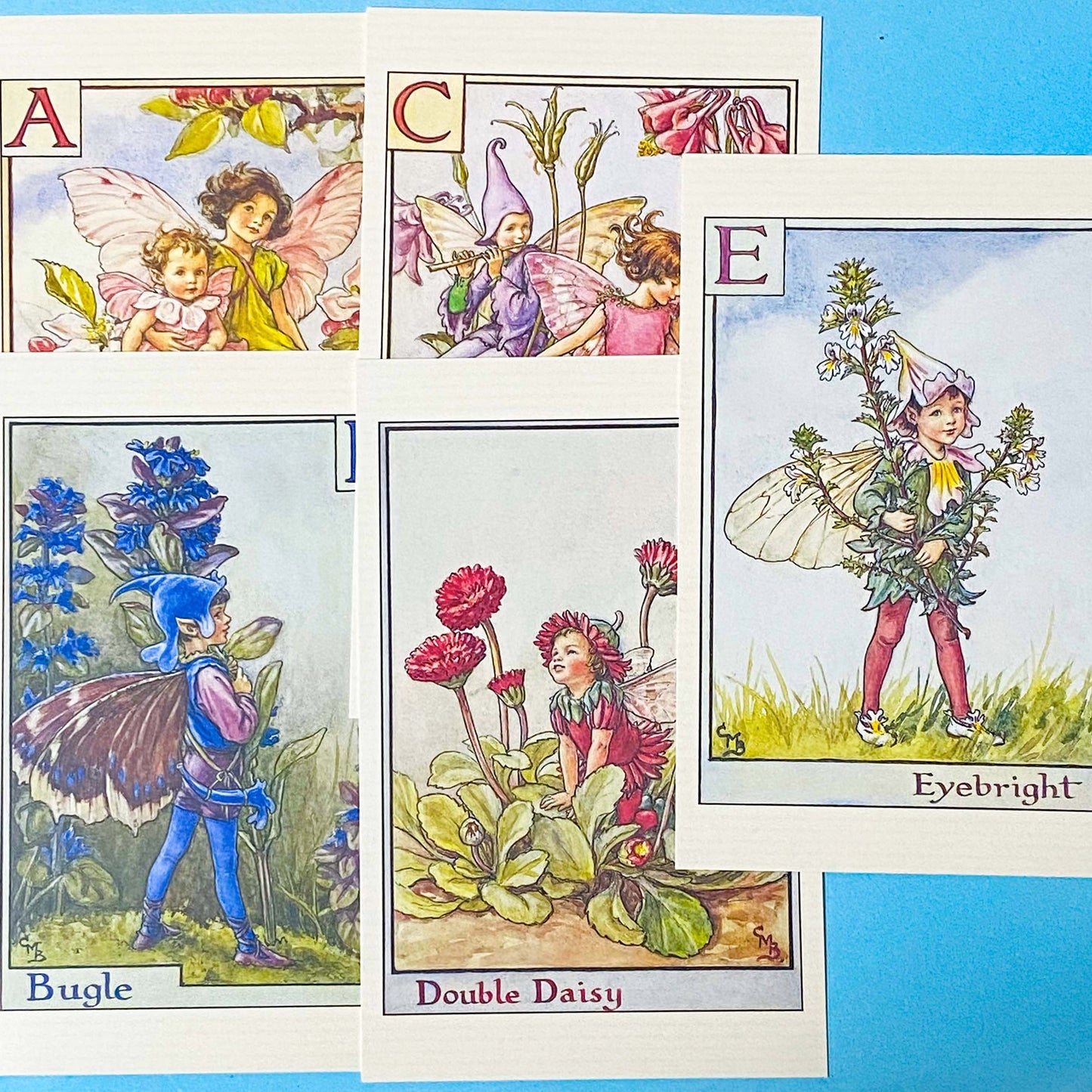 five vintage flower fairies postcards with letters of the alphabet a, b, c, d and e