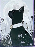 black cat cats postcard postcards post card cards uk cute kawaii stationery shop store witch magic magical planner supplies individual colourful bargain  lover lovers kitty
