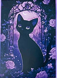 black cat cats postcard postcards post card cards uk cute kawaii stationery shop store witch magic magical planner supplies individual colourful bargain  lover lovers kitty